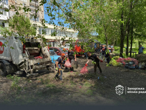 У  Запоріжжі цілий місяць  стартує весняна толока,  фото: Запорізька міська рада