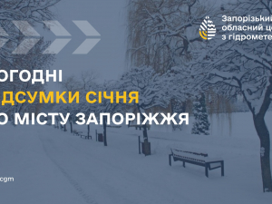 Температурні гойдалки та надлишок опадів: яким був січень у Запоріжжі