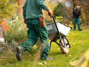 Що робити на городі в березні: практичні поради садівникам