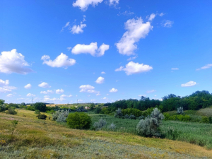 Селище Сонячне під Запоріжжям. Фото: Антоніна Фролова