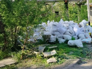 Сміття звозять мішками: у Запоріжжі на зелених зонах влаштували звалища - фото