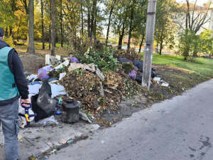 Сміття просто неба — у Запоріжжі екологи виявили звалище відходів біля дороги (фото)