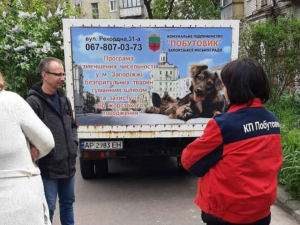 У Запоріжжі призупиняють відлов безпритульних тварин: пошкоджене єдине спецавто (фото)