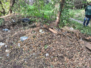 У Запоріжжі екоінспектори виявили сміттєзвалище біля будинку — ще два в інших районах прибрали (фото)