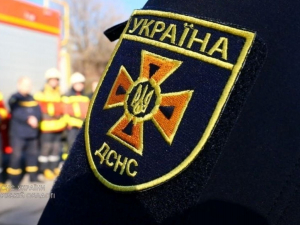 У Запорізькому районі врятували милу тваринку - подробиці