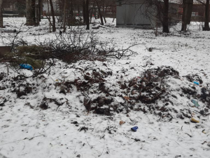 Сміття у дворі Вознесенівського району. 