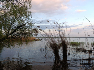 Хмарно, але тепло - чого очікувати від погоди в Запоріжжі найближчими днями