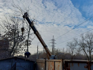 У Запоріжжі після скарг містян демонтували кіоск, в якому нелегально продавали алкоголь - фото