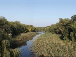Якість води погіршується - науковці дослідили стан малих річок на Запоріжжі
