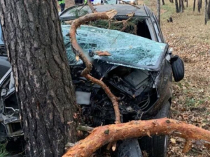 Пасажир загинув на місці - у Запоріжжі авто врізалося в дерево (фото, відео)