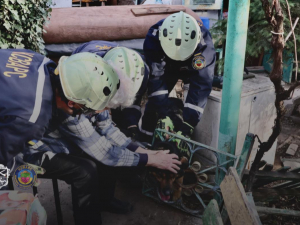 У Запоріжжі рятувальники визволили собаку, що застряг у паркані