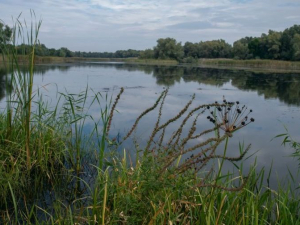 Як виглядають Дніпровські плавні під Запоріжжям у перший місяць осені - фото