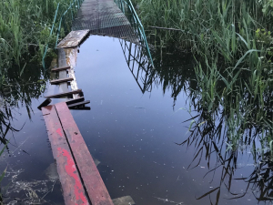 У Запоріжжі частина мосту через річку опинилася під водою - фото