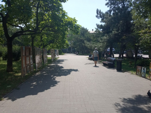 Запоріжжя, фото Світлани Олійник