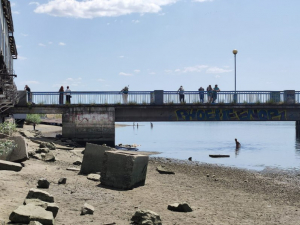 Через зниження рівня води в Запорізькій області може початися загибель риби: відео та подробиці