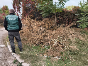 Скло, деревина і пакети - в центрі Запоріжжя виявили  незаконне сміттєзвалище