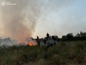 На Хортиці сталась масштабна пожежа, яку бачили багато містян - ведеться розслідування (фото)