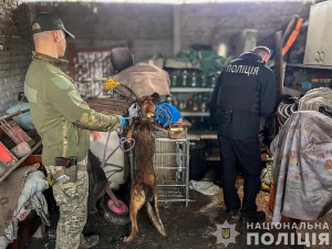 Мешканець Запоріжжя незаконно зберігав небезпечні боєприпаси у себе вдома (фото)