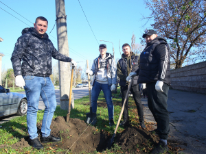 Студенти та молоді металурги Запоріжжя висадили понад півсотні дерев