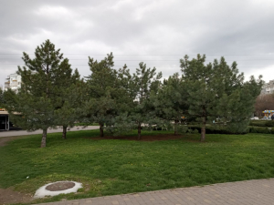 Яка погода у Запоріжжі буде на початку робочого тижня - прогноз