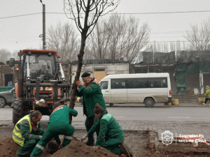 У Запоріжжі на місці загибелі людей після прильотів висадили молоді липи (фото)