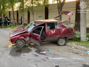 У Запоріжжі п'яний водій врізався в дерево - фото