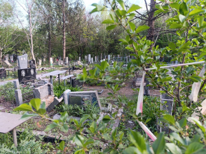 У Запоріжжі росіяни вдарили "Шахедом" по території кладовища (фото)