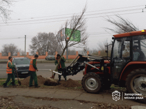 У Запоріжжя висадили нові дерева — у парку та сквері з'являться сакури та сливи Пісарді (фото, відео)