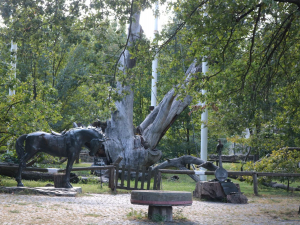 Чи ще живий Запорізький дуб - ексклюзивний фоторепортаж