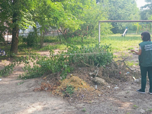 Краєвид зі смітником - у дворі в центрі Запоріжжя знайшли стихійне звалище (фото)