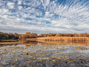 Запорізький фотохудожник показав вічну красу Хортиці восени