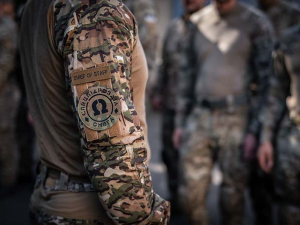 На Запорізькому напрямку спецпризначенці закидали гранатами підвали з росіянами – відео