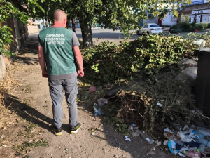 Купи гілок та побутових відходів - у Запоріжжі екоінспектори виявили стихійне сміттєзвалище (фото)