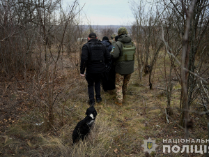 Збір грибів у замінованому лісі в Запорізькій області закінчився страшною трагедією - подробиці