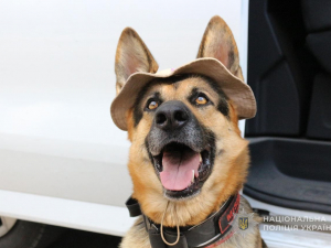  Смілива німецька вівчарка врятувалась від окупантів — історія Мішель, що тепер служить у запорізькій поліції (фото)