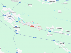 Мала Токмачка під контролем ЗСУ - у Силах оборони спростували інформацію про окупацію села