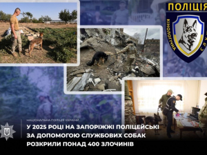 Запорізькі собаки допомагають розслідувати вбивства та розшукують людей - цікаві випадки розкриття справ