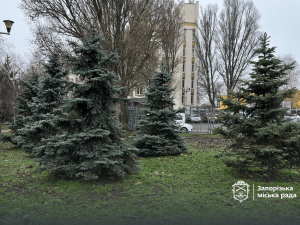 Незручність для вандалів - як на вулицях і в парках Запоріжжя обробляють ялинки