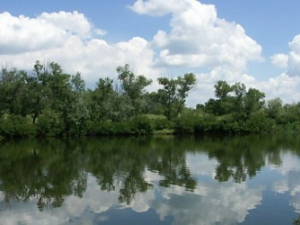 У водоймах Запоріжжя падає рівень води: яка ситуація на Веслувальному каналі - відео