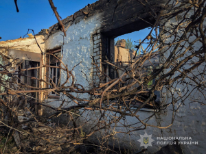 Росіяни атакували FPV-дронами прифронтовий Оріхів - постраждав чоловік