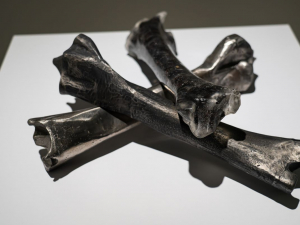 Металеві кістки і сталеві картини - у Запоріжжі відкрили символічну виставку про місто (фото)