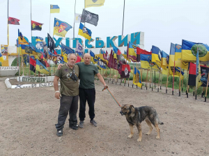 Талісман захисників - запорізькі волонтери рятують бойового собаку, що постраждав під час вибуху (фото)