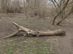 У Запоріжжі прибрали купи сміття поблизу перехрестя