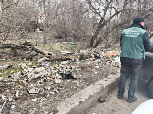 Каністри, покришки і кавові стаканчики: у Запоріжжі екологи виявили смітник біля парковки (фото)