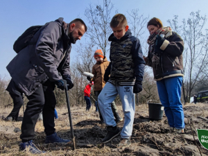 Евакуювали з-під обстрілів - на Дніпропетровщині висадили тисячі саджанців клена з Гуляйпільщини (фото)