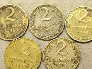 Сіль їли – очевидець записав, як селяни на Запоріжжі голодували, крали й морально деградували через колгоспний лад