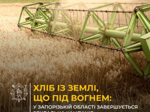 Аграрний фронт - російські атаки спалили сотні гектарів врожаю на Запоріжжі