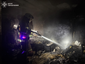 Задимлена пастка - як рятувальники в останній момент врятували жінку в Запоріжжі (фото)