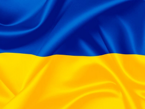 У Запоріжжі розшукують чоловіків, які полгумилися над українським прапором - подробиці від поліції