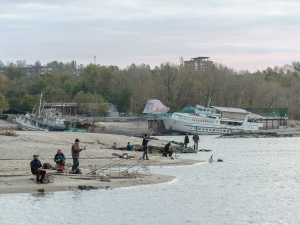 Осушені майже всі нерестовища: які види риб у Запорізькій області опинилися під загрозою 